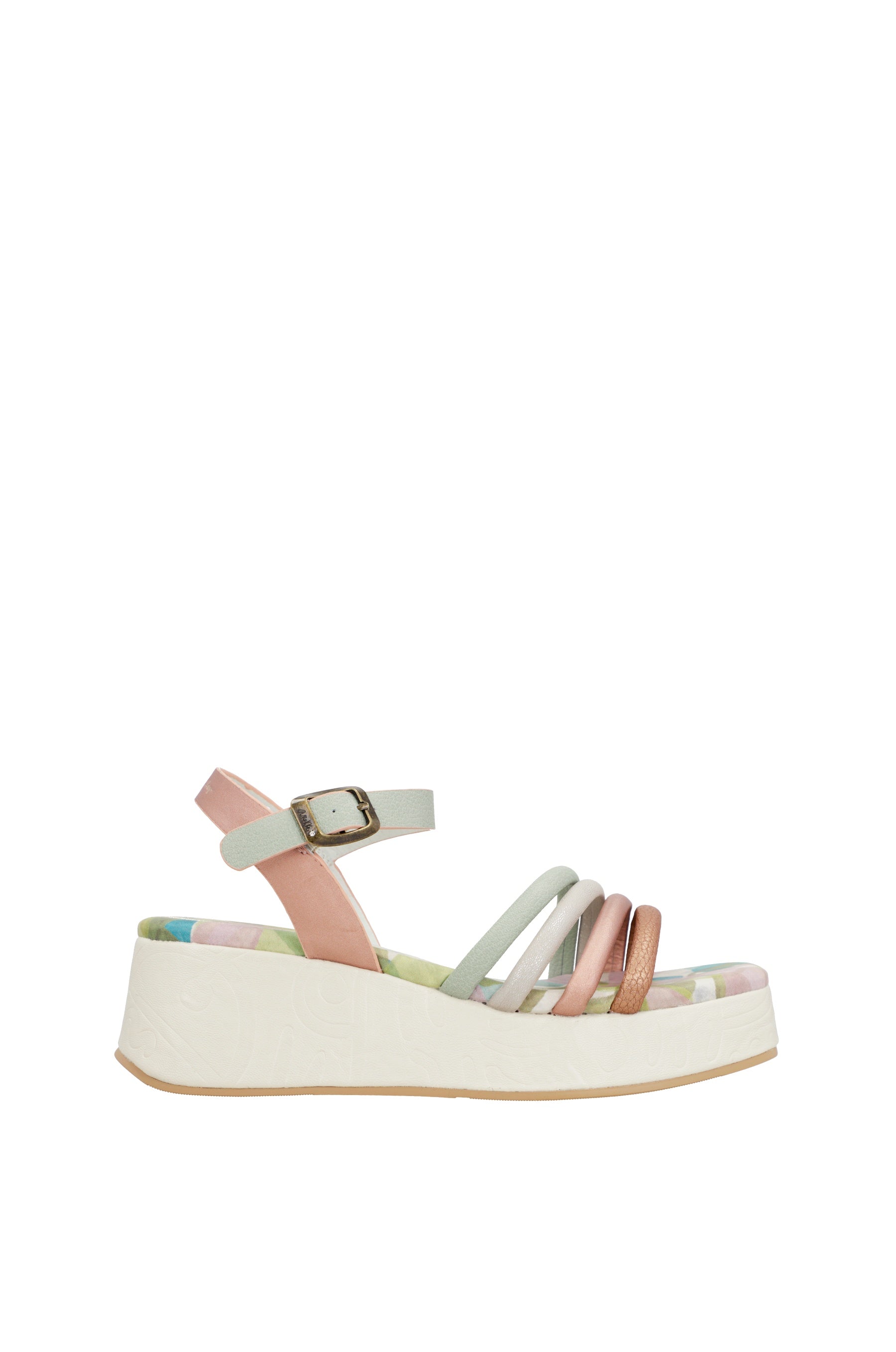 Anekke - Valencia-2 423 Multi