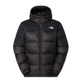 The North Face DIABLO DOWN 2.0 HOODIE black