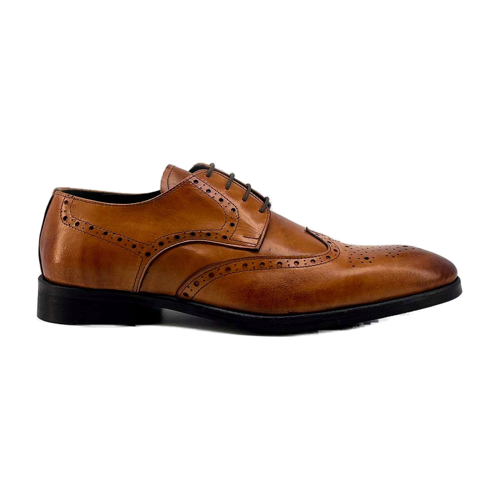 Duca di Morrone VALERIO-PELLE brown