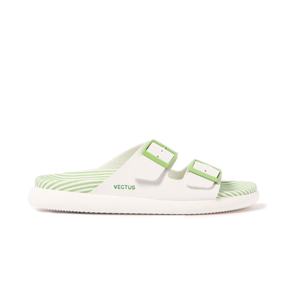 Vegtus Tanami Stripes Green Cactus